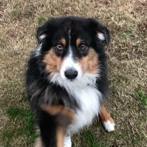 Meet your Posher, Zach